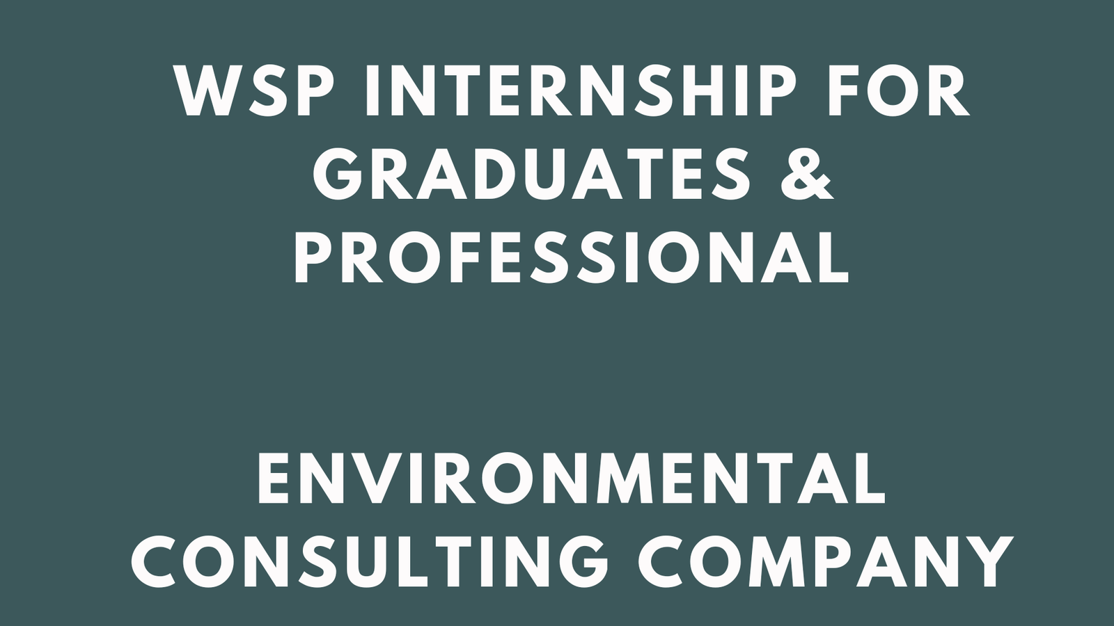 WSP Internship