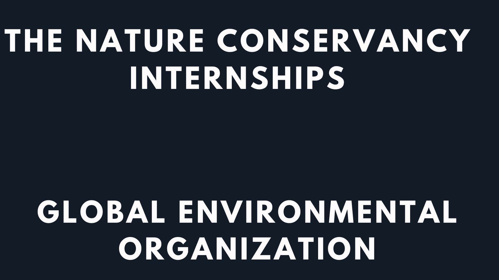 The Nature Conservancy Internships