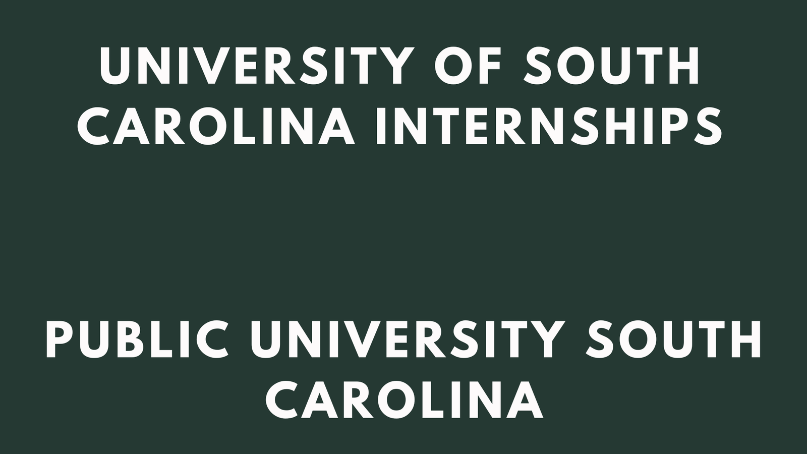 University Of South Carolina Internships