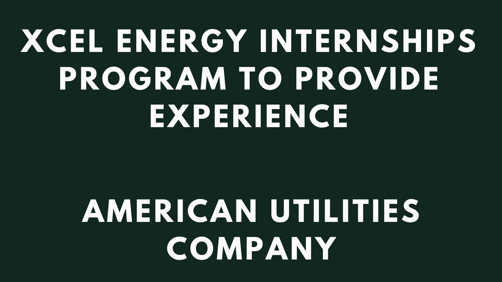 Xcel Energy Internships