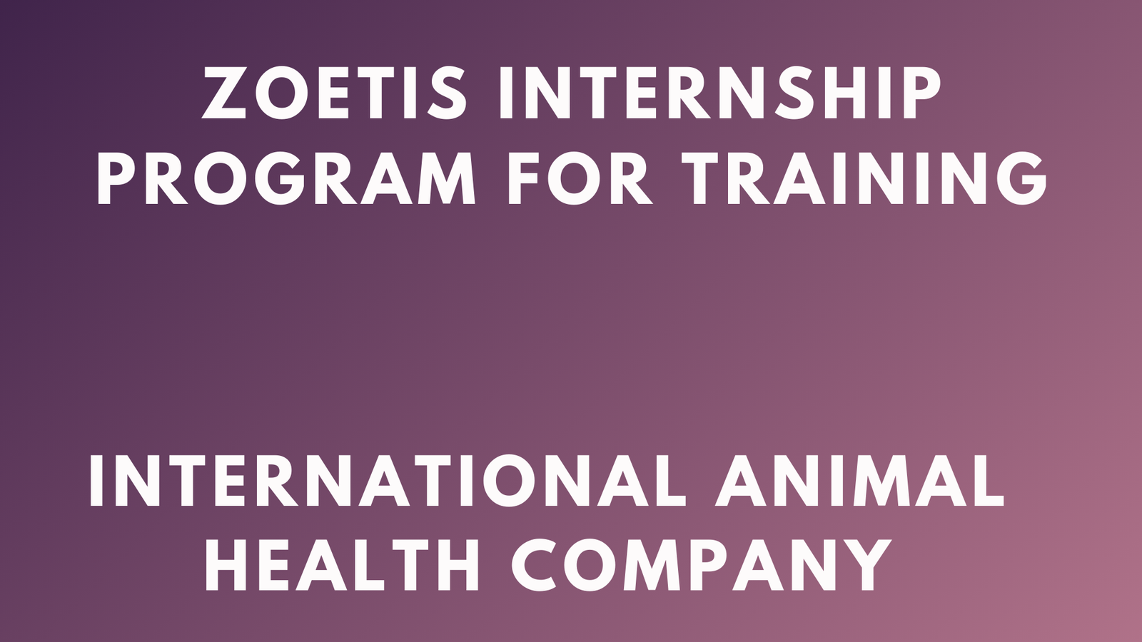 Zoetis Internship