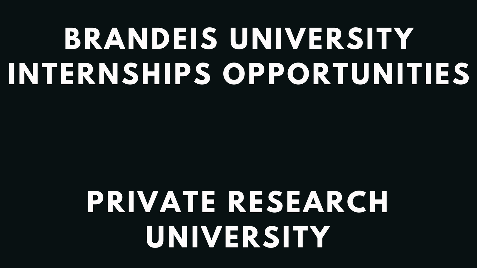 Brandeis University Internships