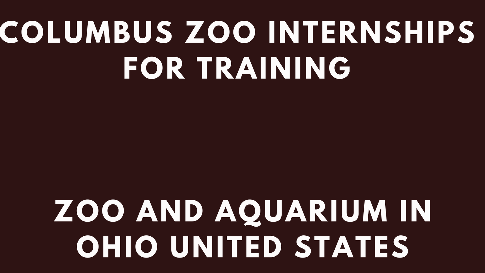 Columbus Zoo Internships