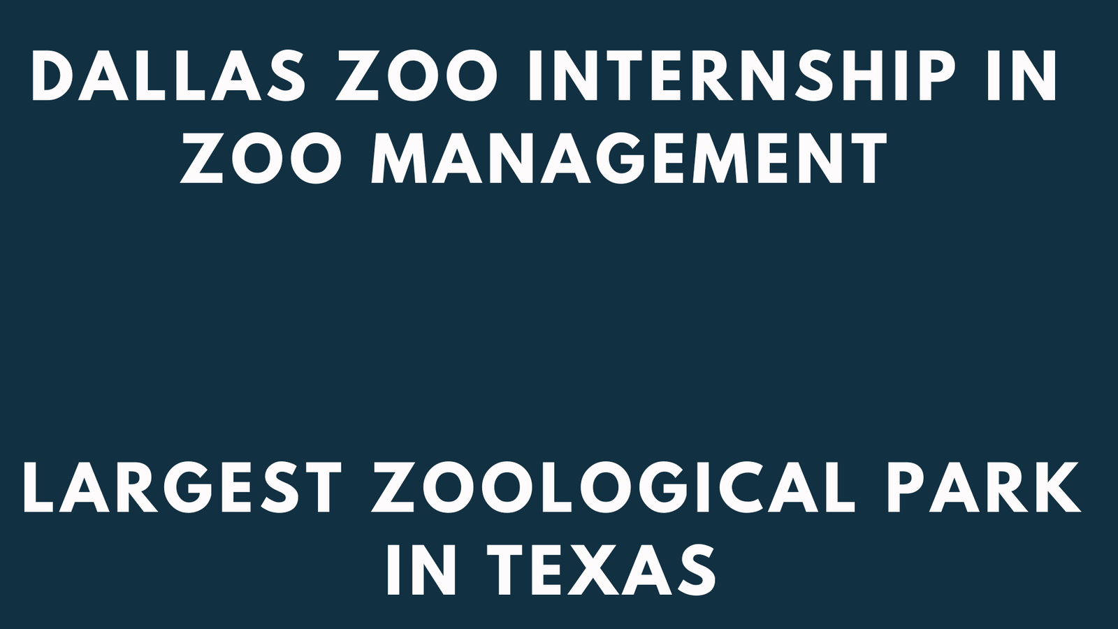 Dallas Zoo Internship