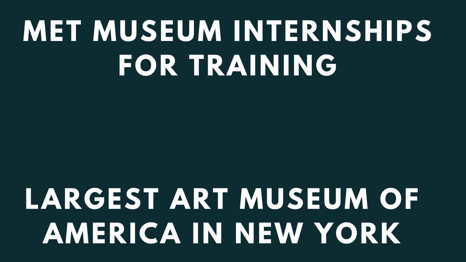 Met Museum Internships