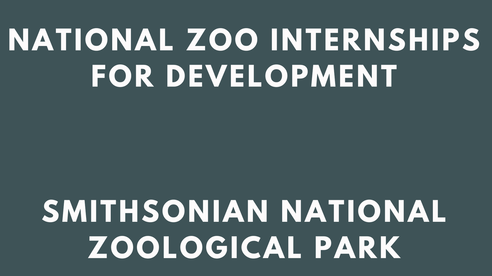 National Zoo Internships