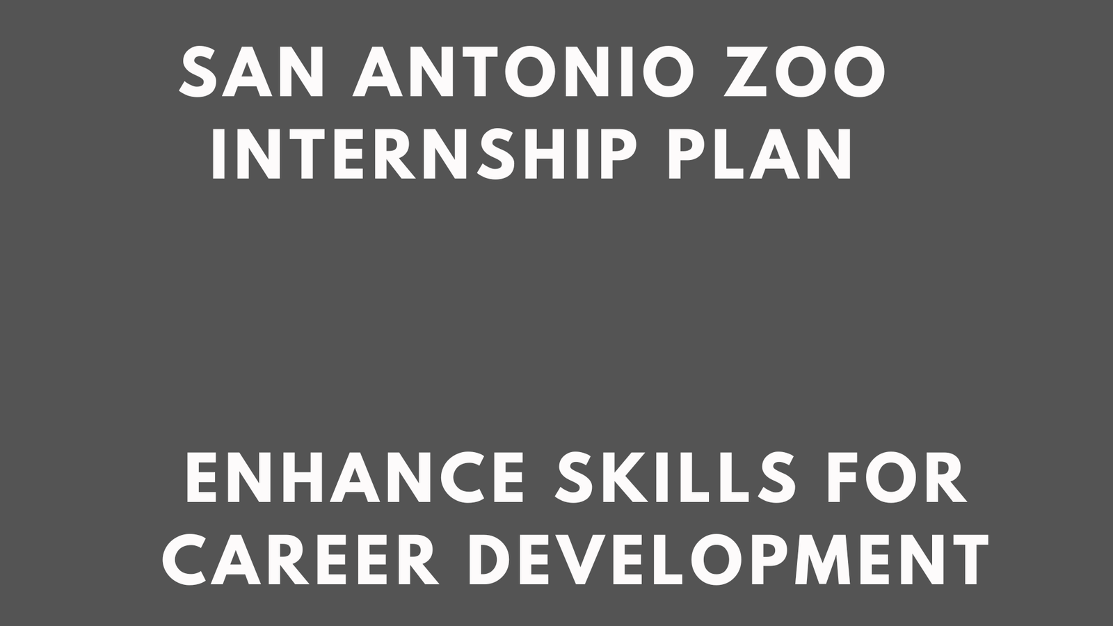 San Antonio Zoo Internship
