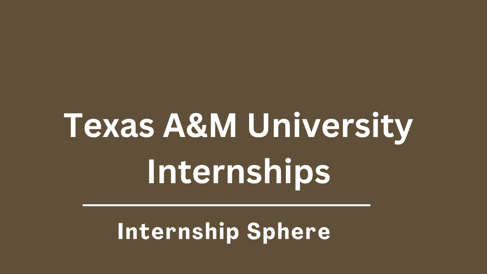 Texas A&M University Internships