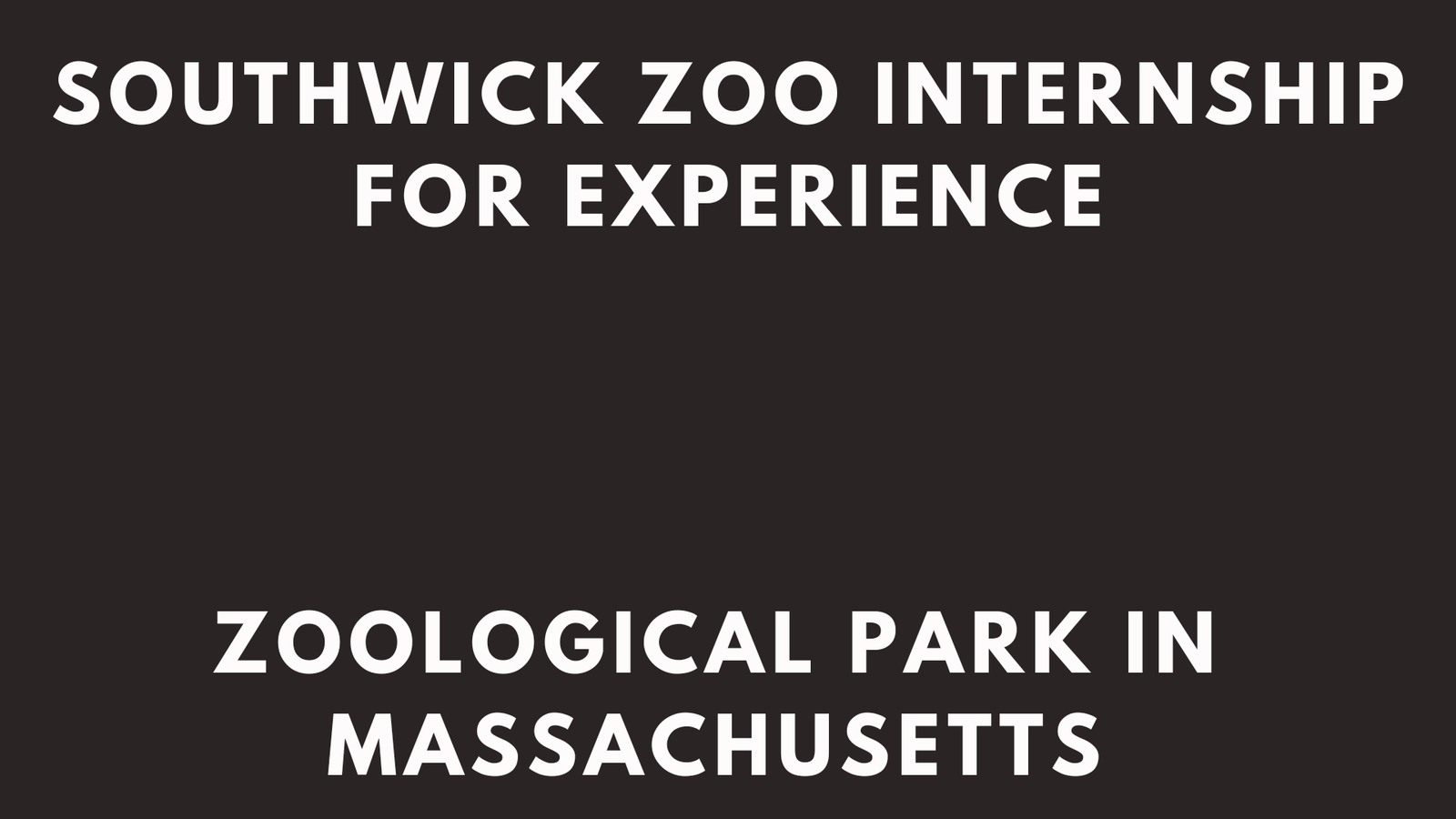 Southwick Zoo Internship