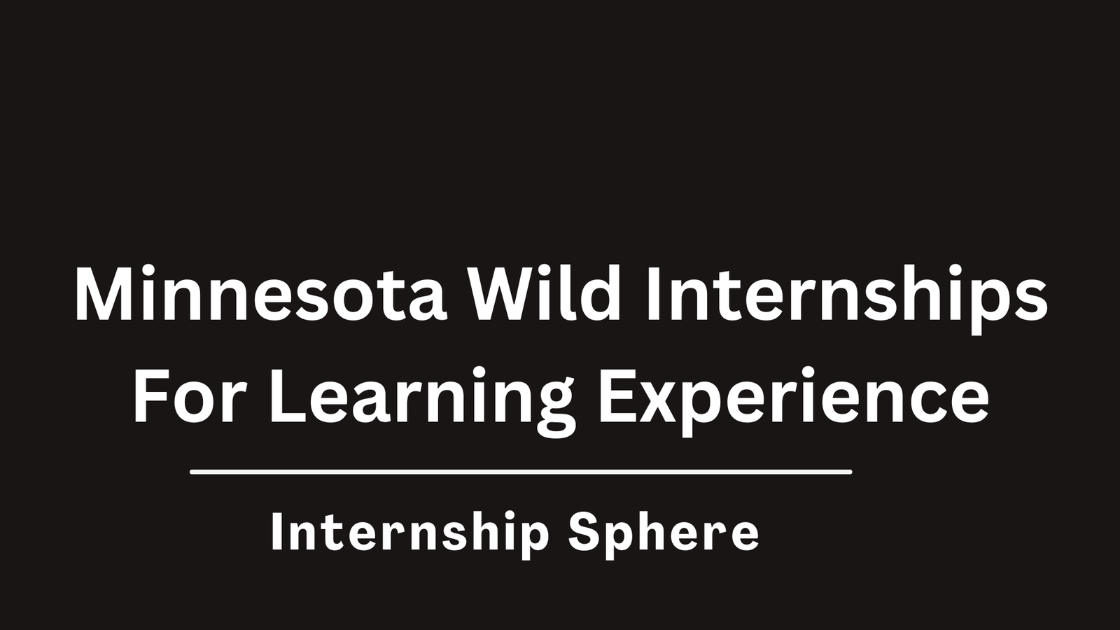 Minnesota Wild Internships